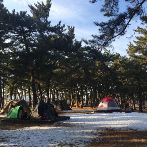 1월 1일 해맞이 연곡캠핑장 사진