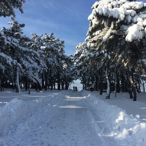 연곡캠핑장 설경 사진