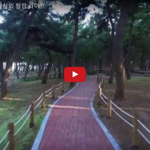 당신의 힐링라이프