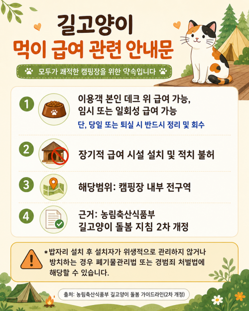 고양이 먹이 급여
